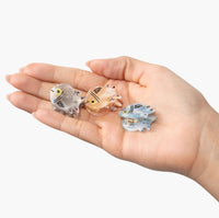Micro Fish Hair Claw Clip Set