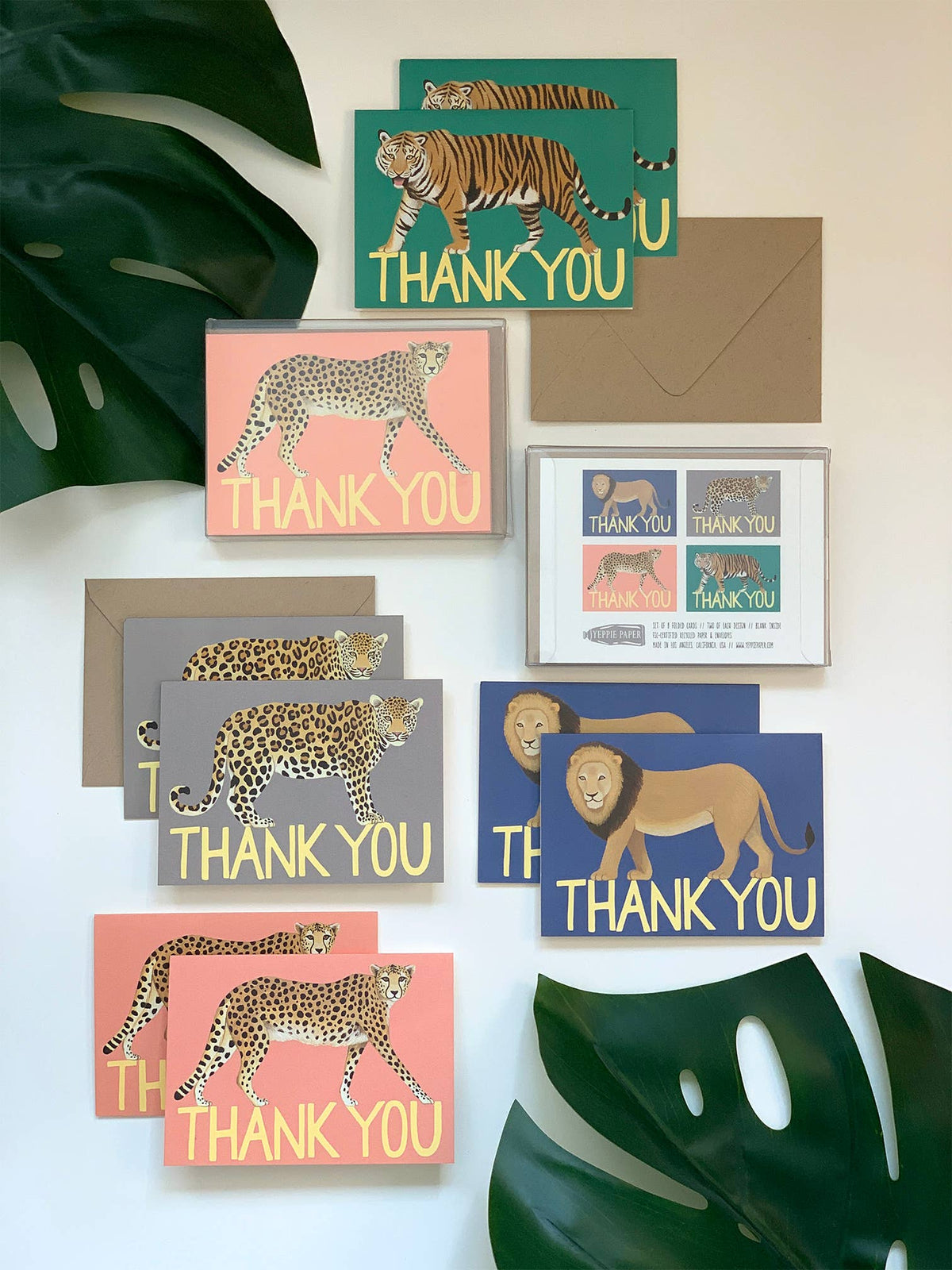 Big Cat Thank You Cards - Variety Boxed Set of 8