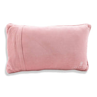 Sleigh Needlepoint Pillow
