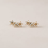 Floral Climber Earrings