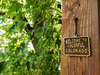 Welcome to Colorado | Wooden Ornament - Birch