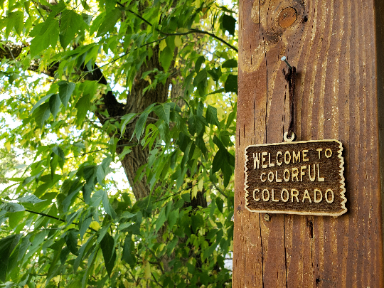 Welcome to Colorado | Wooden Ornament - Birch