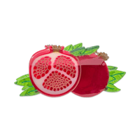 Large Pomegranate Hair Claw Clip