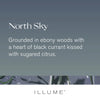 North Sky Boxed Crackle Glass Candle