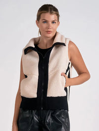 The Ski Vest