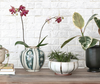 striped bowl with flowers