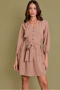 Long Sleeve Shirring Button Down Tie Dress