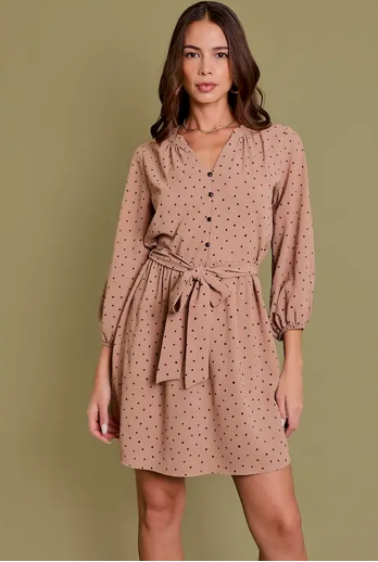 Long Sleeve Shirring Button Down Tie Dress