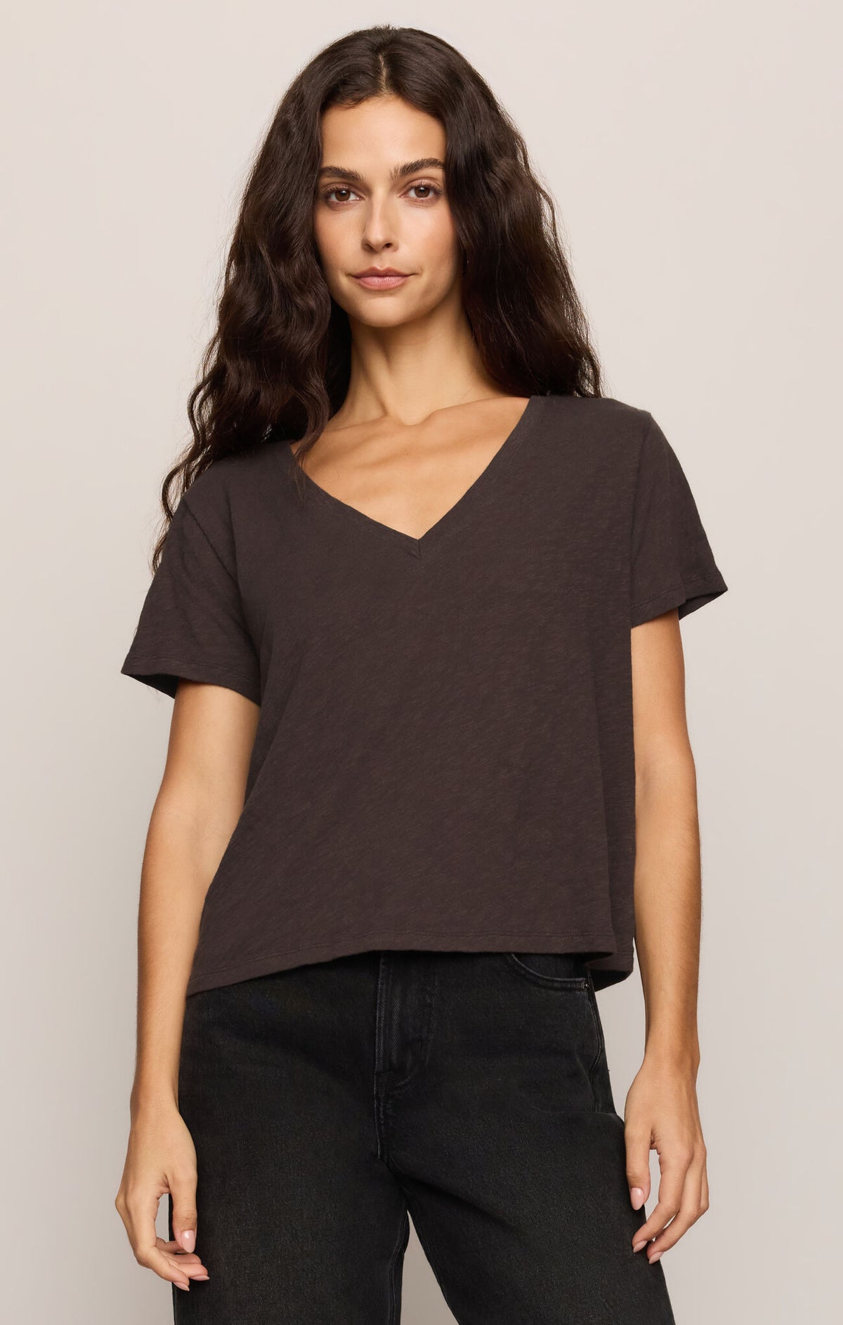 Z Supply Nomad V-Neck Tee