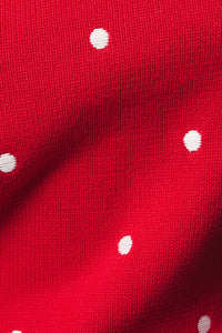 Polka Dot Embroidered Sweater
