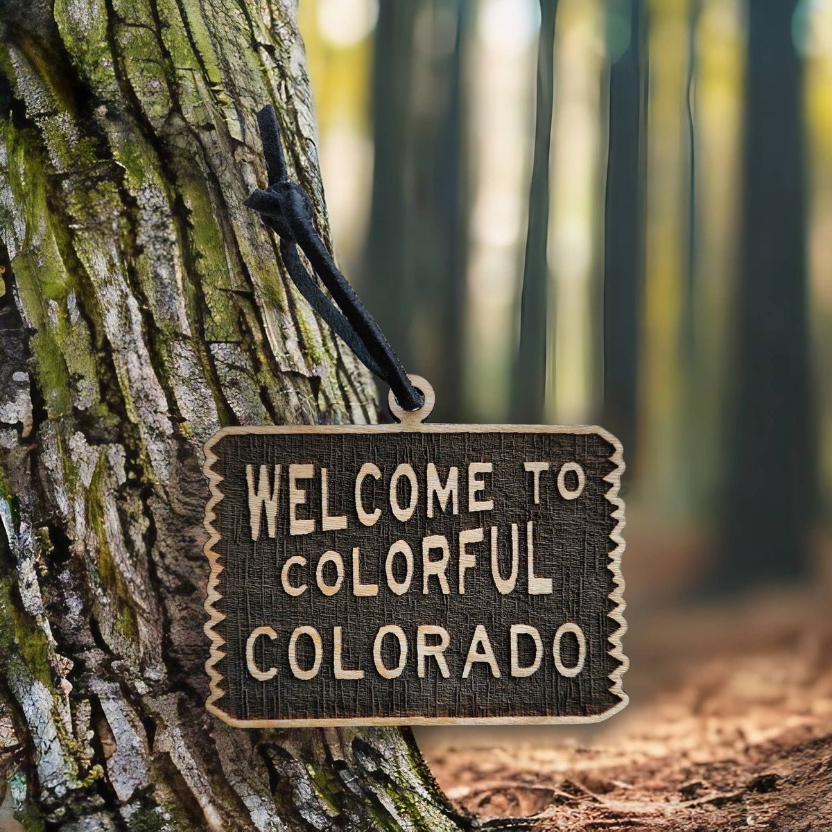 Welcome to Colorado | Wooden Ornament - Birch