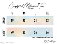 COLORADO Cropped Mineral Graphic Top