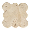 The Scalloped Coasters