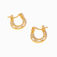 Horseshoe Hoops